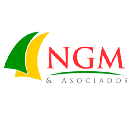 Logo NGM & Asociados